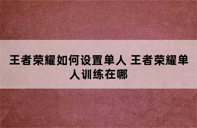 王者荣耀如何设置单人 王者荣耀单人训练在哪